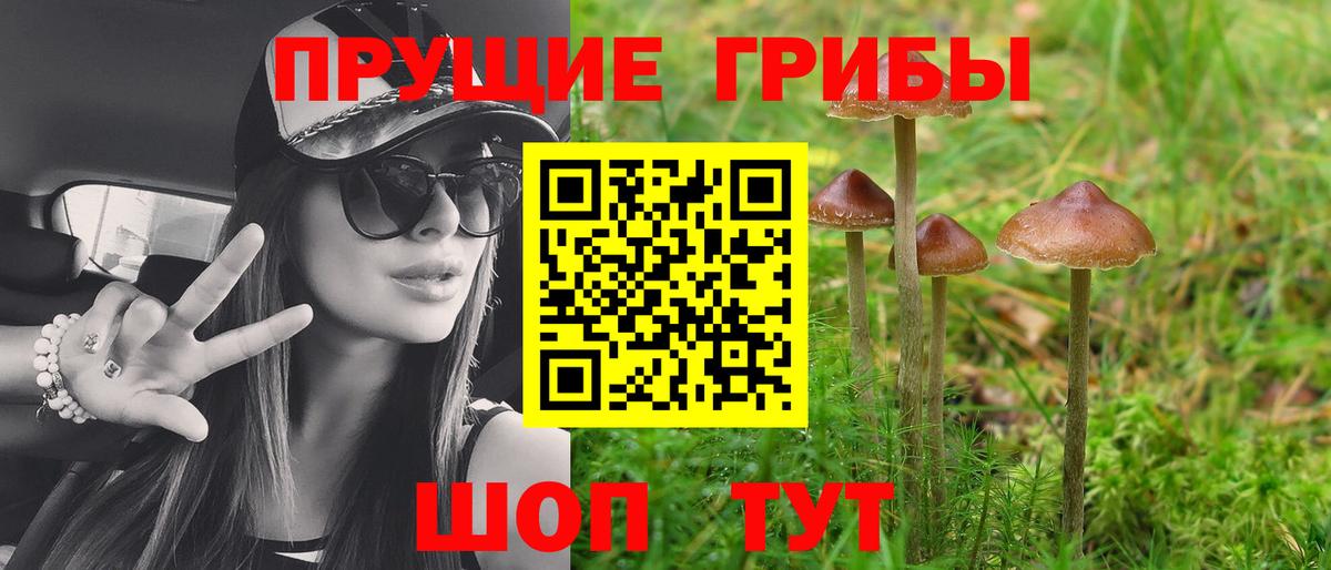 Псилоцибиновые грибы Psilocybine cubensis  Вход с VPN  Белореченск 